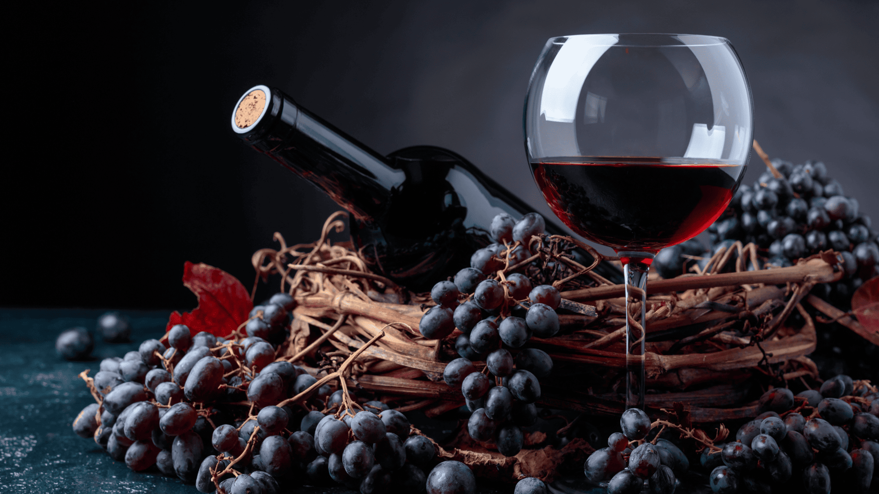Rotwein im Glas neben einer Flasche und dunklen Trauben